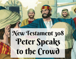 NT 308 - Peter Speaks to the Crowd